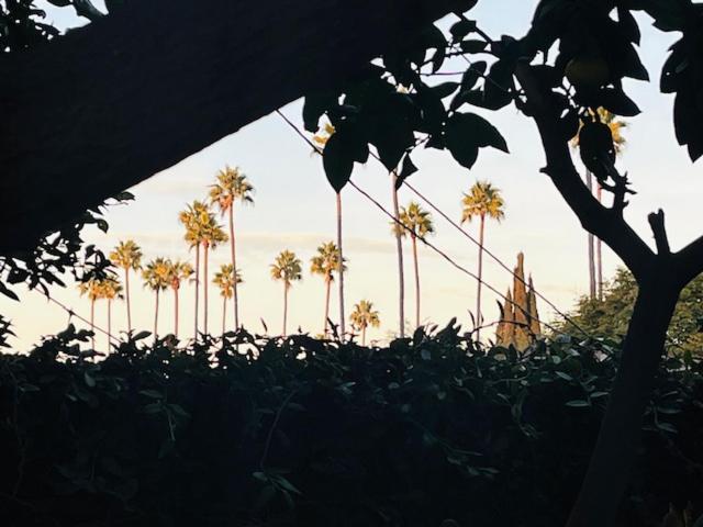 Costa Mesa Homestay - Private Rooms With 2 Shared Baths And Hosts Onsite ภายนอก รูปภาพ